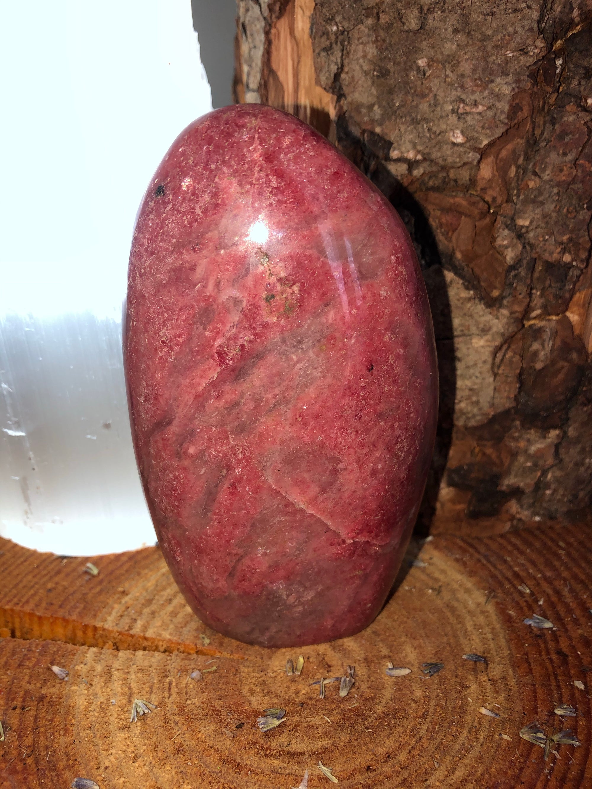 Rhodonite Freeform