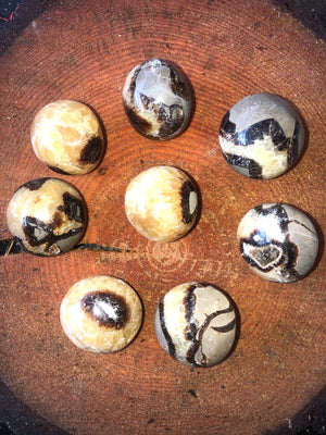 Septarian Palm Stones