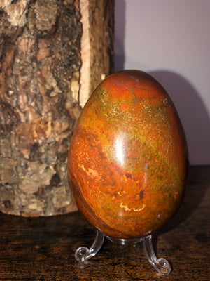 Petrified wood egg