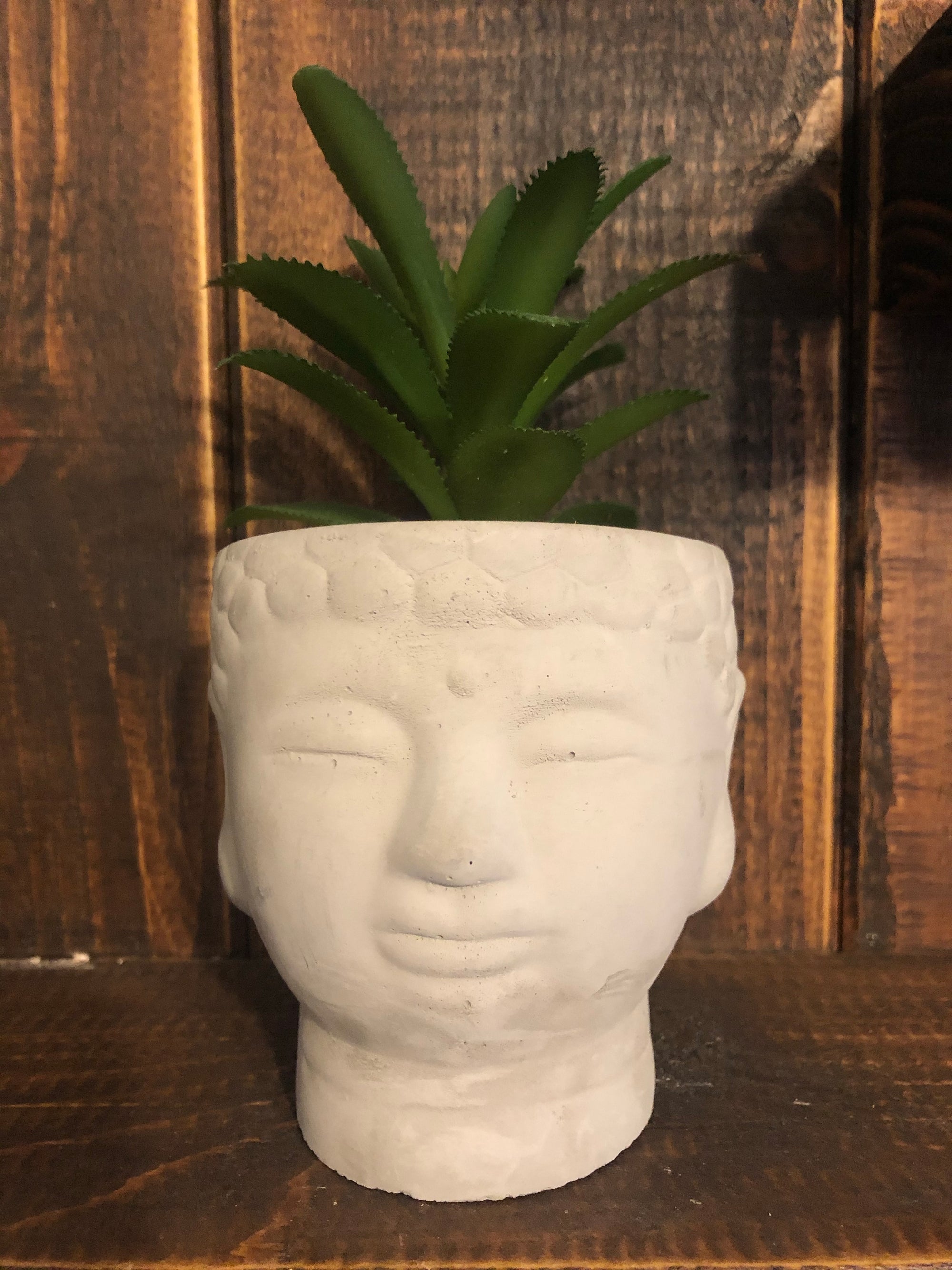 Buddha plant