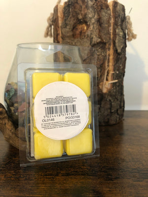 Citronella Wax Melts