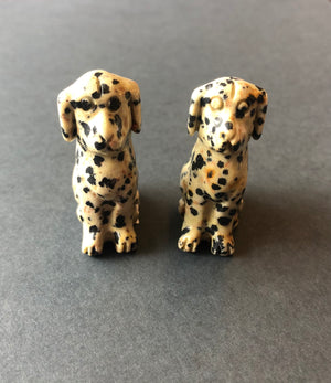 Dalmatian Jasper Dalmatians