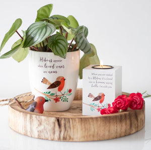 Robin plant pot